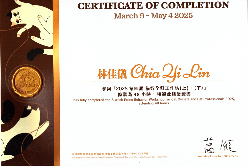 貓談社｜貓奴全科工作坊 第四屆線上班 課後心得